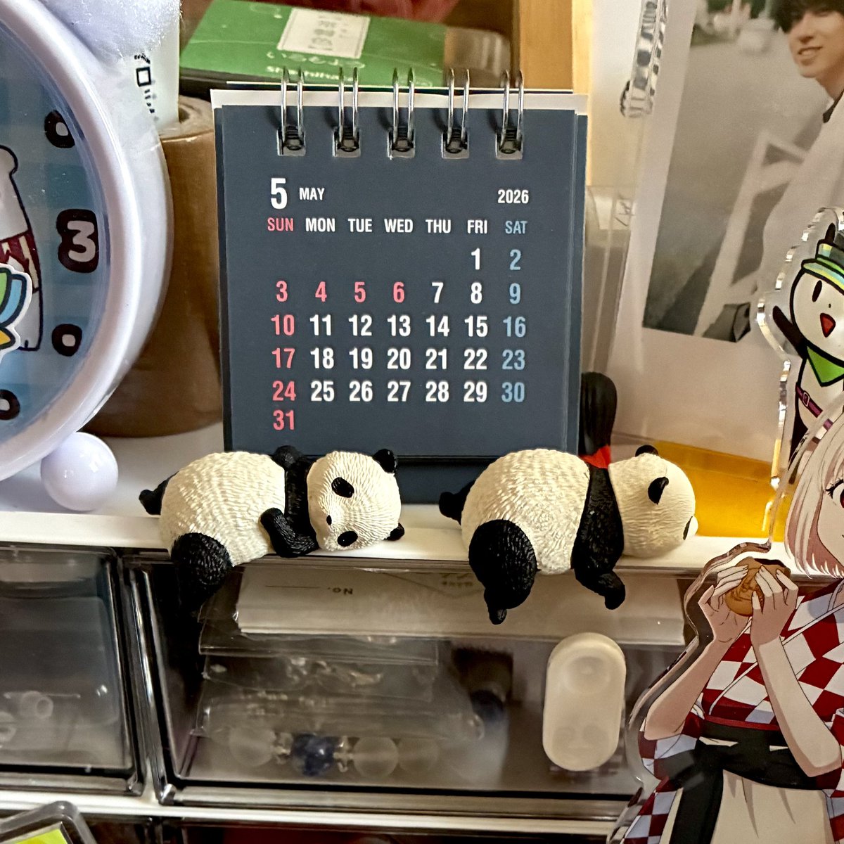 パンダさんがこんにちは(。・ω・)ノ゛ パンダさんたちの位置はここで落ち着きました。 ゴチャついている。