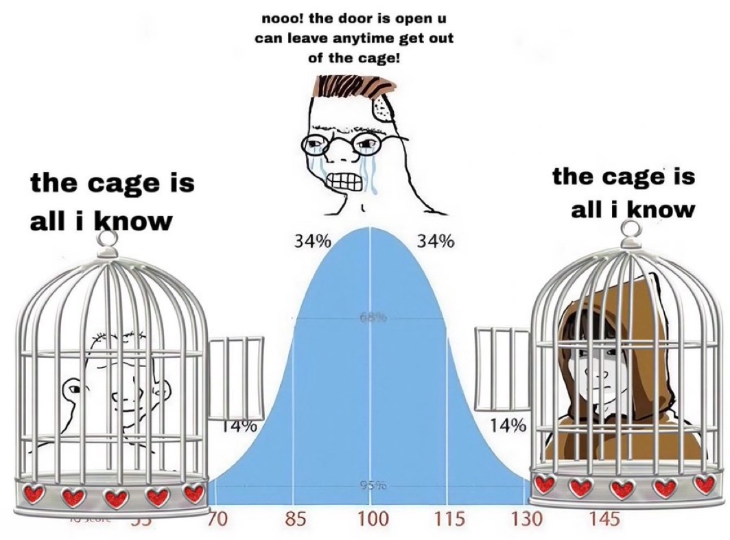 The Cage tweet media