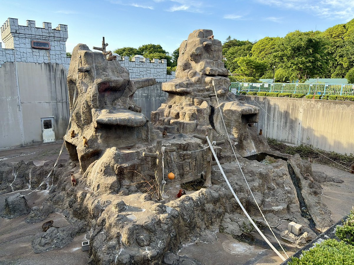 市川市動植物園（公式） tweet media