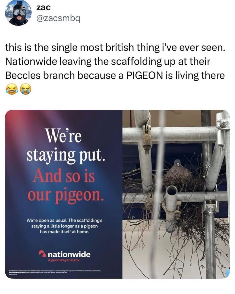 Protect the Wild tweet media