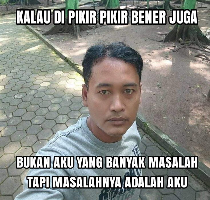 bia tweet media