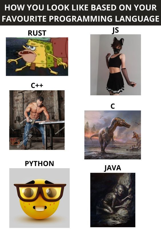 Python Developer tweet media