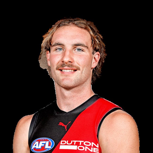Supercoach Dynasty tweet media