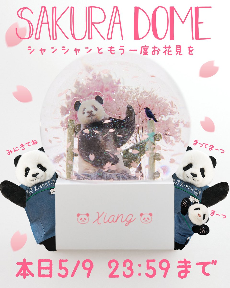 kuma.xiang (@kumaxiang) / Posts / X