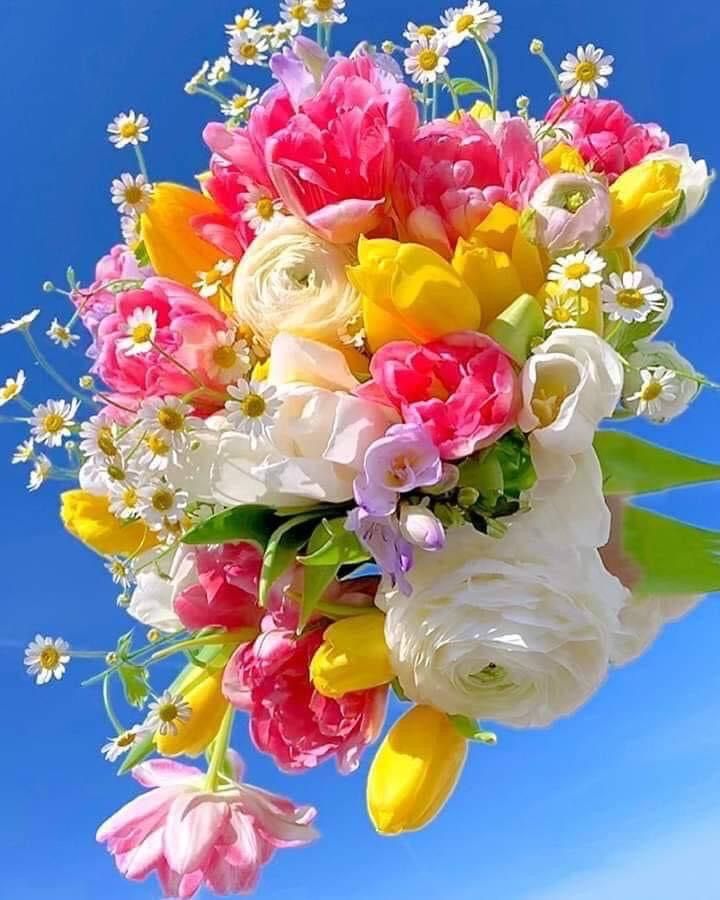 Only for you tweet media