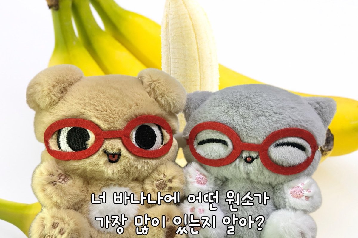 몽 tweet media