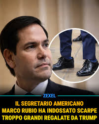 È tutta colpa mia tweet media
