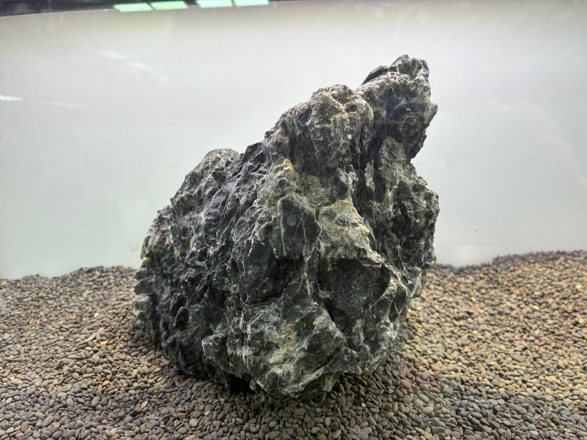 昨日、少しだけ石と流木が入荷しています。 写真の龍王石系の石は60cm