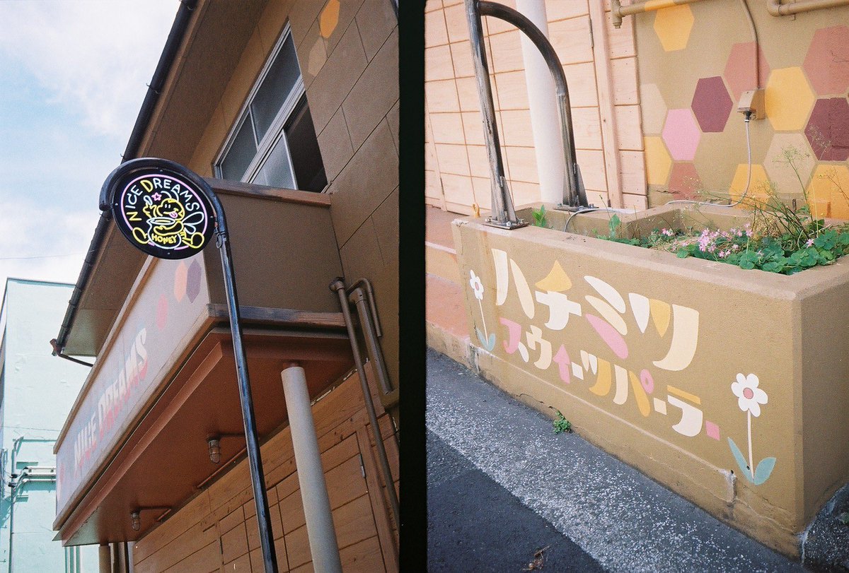 0range_ch0c0lat's tweet photo. ハーフカメラ、フィルム使い切ったので現像してきた！！！！
フィルムはKodak GOLD200
途中開けちゃったから感光してたり、室内暗すぎてたり、ダメだった写真も割とあったけど
たく���ん撮れて感覚わかってきたし、最後の組写真で感じになってうれしい https://t.co/8BIdDrs9Lt