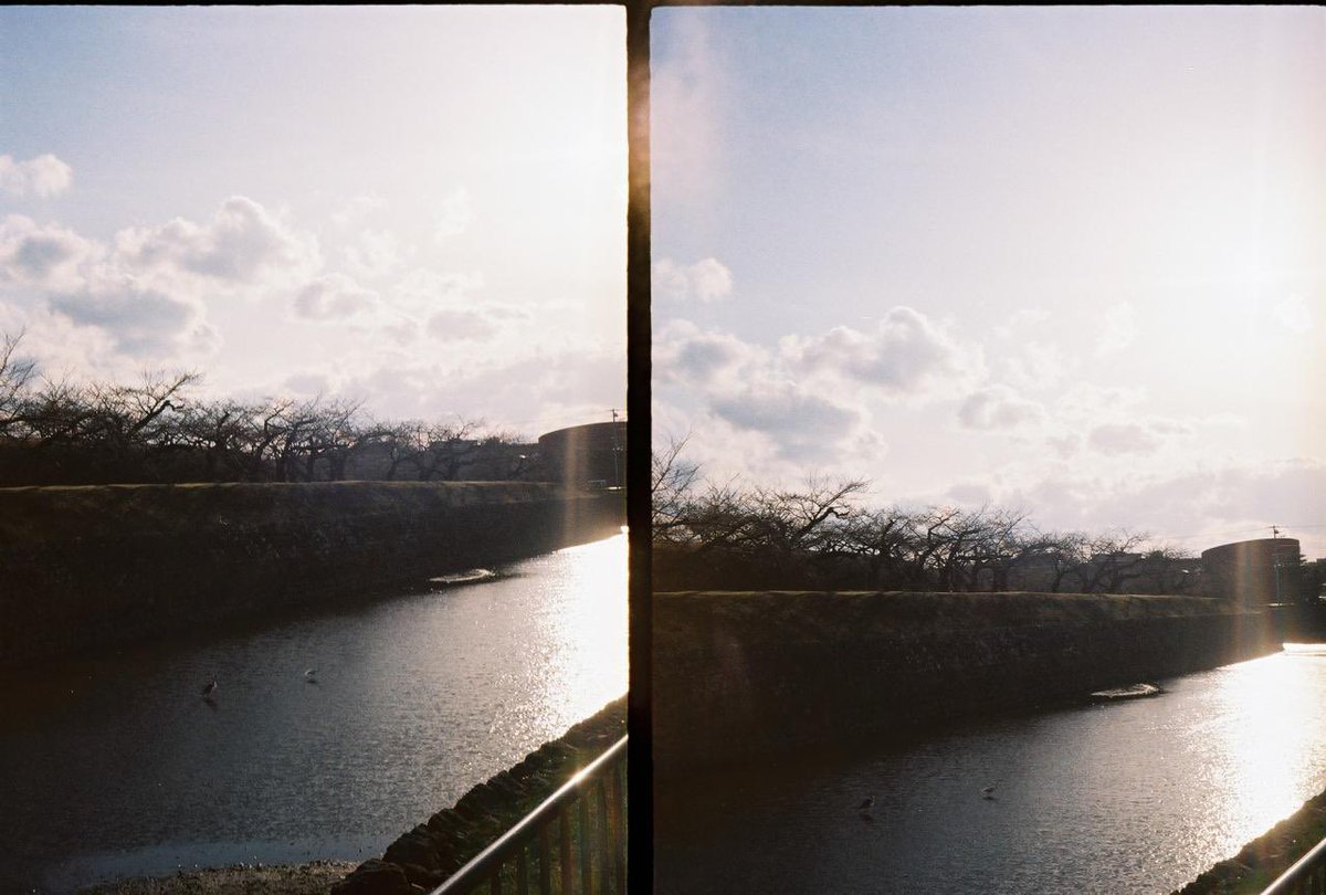0range_ch0c0lat's tweet photo. ハーフカメラ、フィルム使い切ったので現像してきた！！！！
フィルムはKodak GOLD200
途中開けちゃったから感光してたり、室内暗すぎてたり、ダメだった写真も割とあったけど
たく���ん撮れて感覚わかってきたし、最後の組写真で感じになってうれしい https://t.co/8BIdDrs9Lt