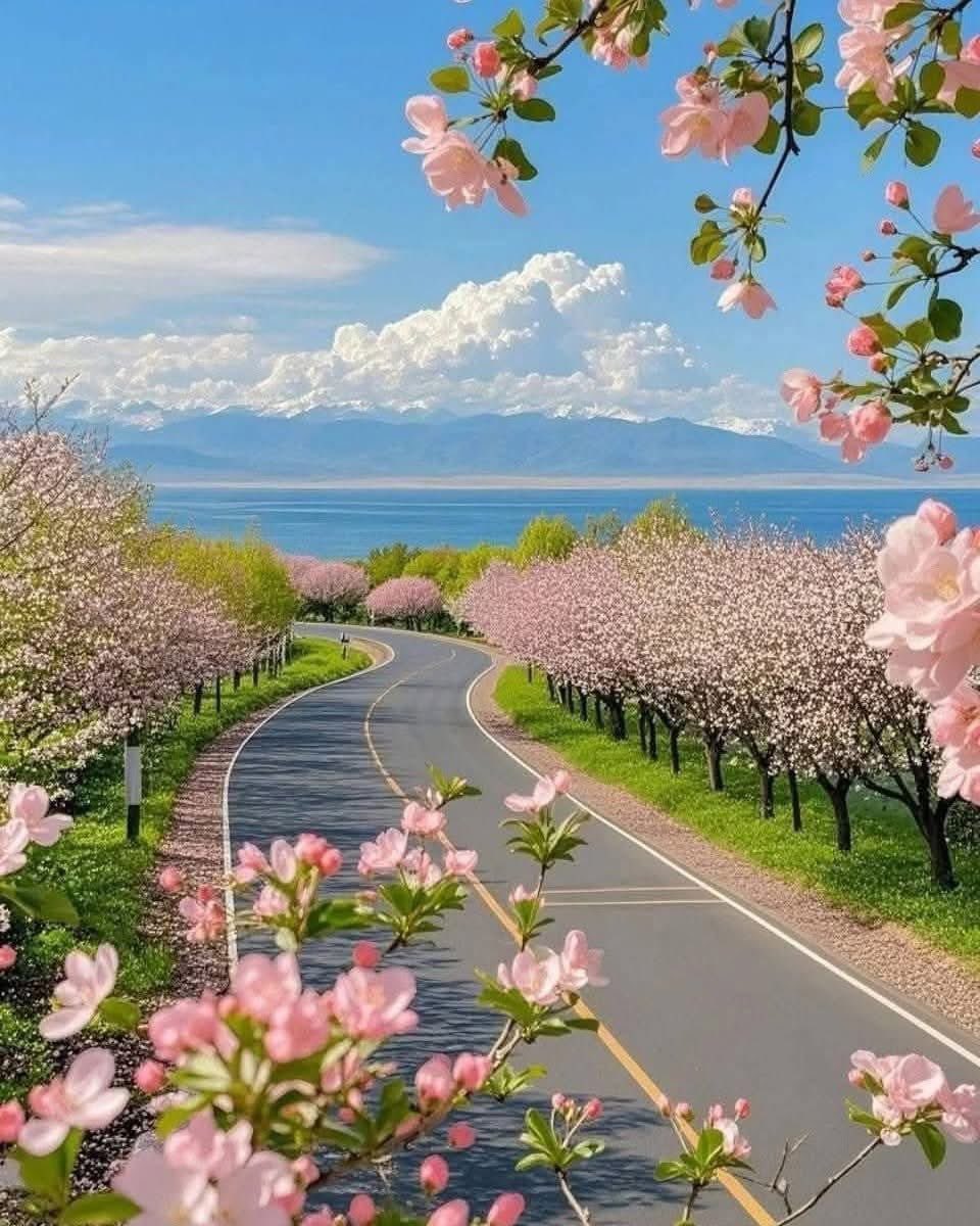 @Han_Oguz tweet media