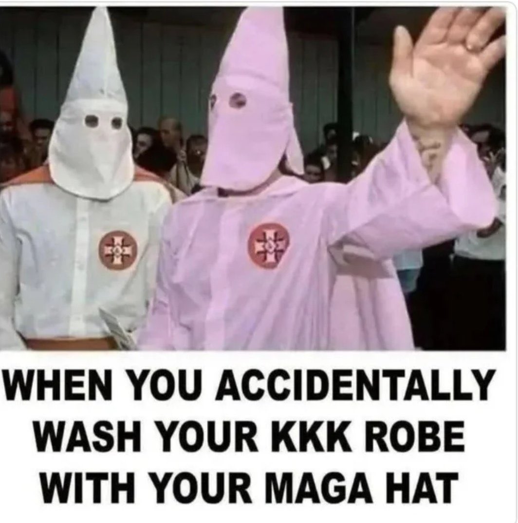 FLMAN69 🐊🏴‍☠️🏳️‍🌈🇺🇸 tweet media