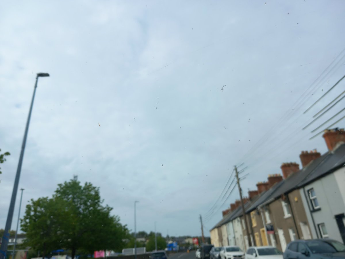 djtgoodie's tweet photo. Same chemical sky, different day..
#DimTheSun #WeatherModification #Ireland https://t.co/5maVPCdyGA