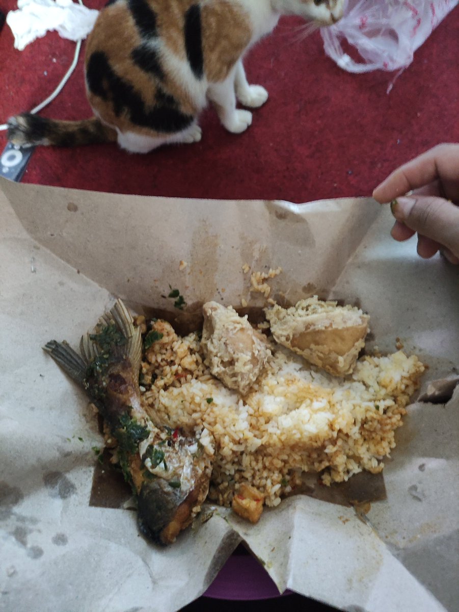 Walaupun belum payout, mkan harus tetap lanjut, selamat makan semuanya