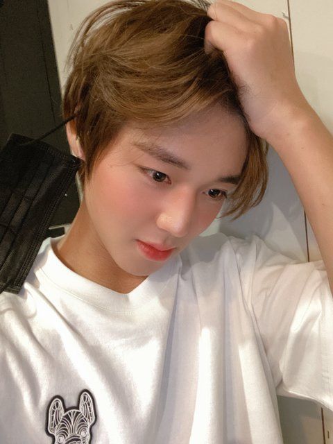 새화 tweet media