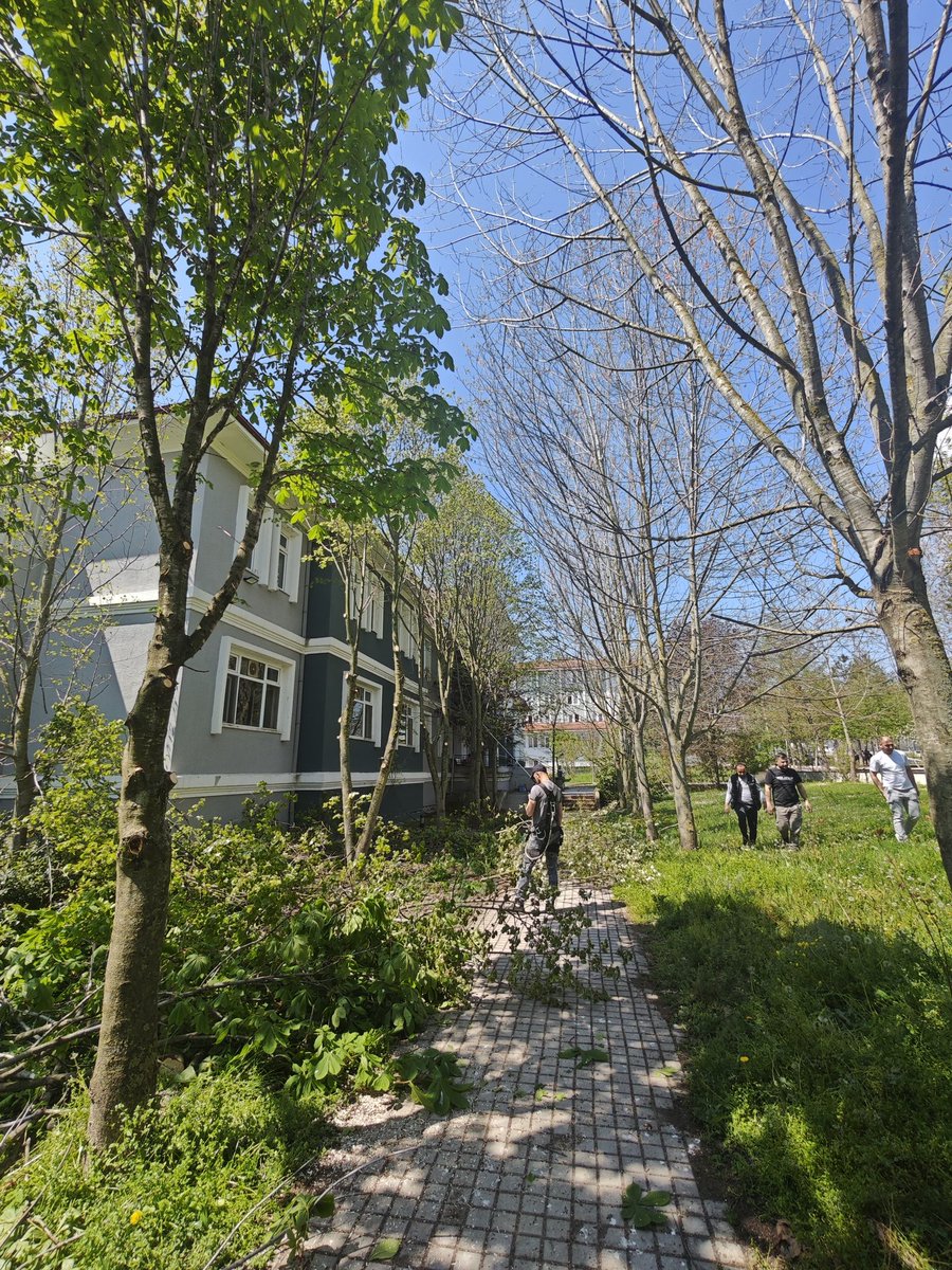DvanFen's tweet photo. Okul bahçemizde Samsun Büyükşehir Fen İşleri ve Kavak Belediyesi Fen İşleri işbirliğinde gerekli güvenlik önlemleri alınarak ağaç budama ve bahçe bakım çalışması yapılmıştır. @samsunbsb @kavakbelediyesi https://t.co/1pc4rMv0Mu