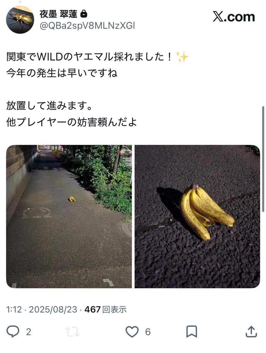 𝓘𝓬𝓱𝓲(いち) tweet media