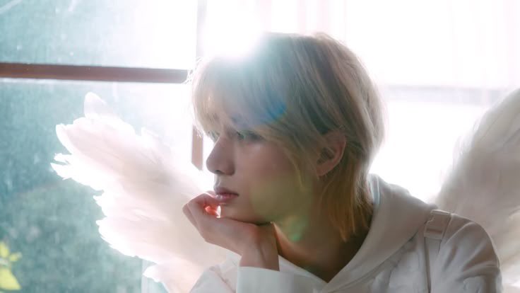 쓰러지지 않는 나무 tweet media