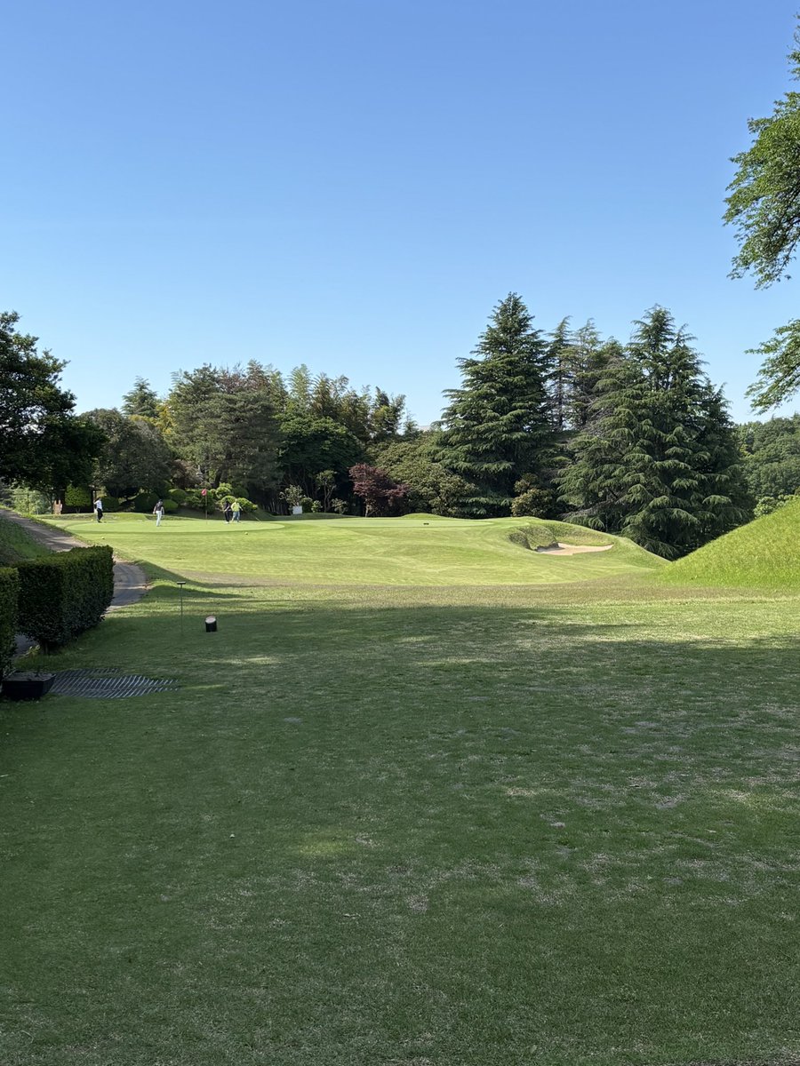 piesukekun's tweet photo. 川崎国際、リベンジゴルフ⛳️。パー4ホール取れたので、まあ、良しとします🥰。
風は途中強風だったけど、お天気に恵まれました🥰。
#リアゴルフ
#川崎国際生田緑地ゴルフ https://t.co/4Hj53pyCMq