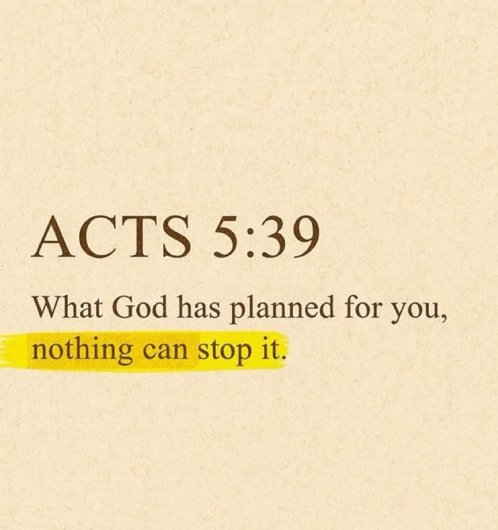 Bible 365 (@bible365_) on Twitter photo 
