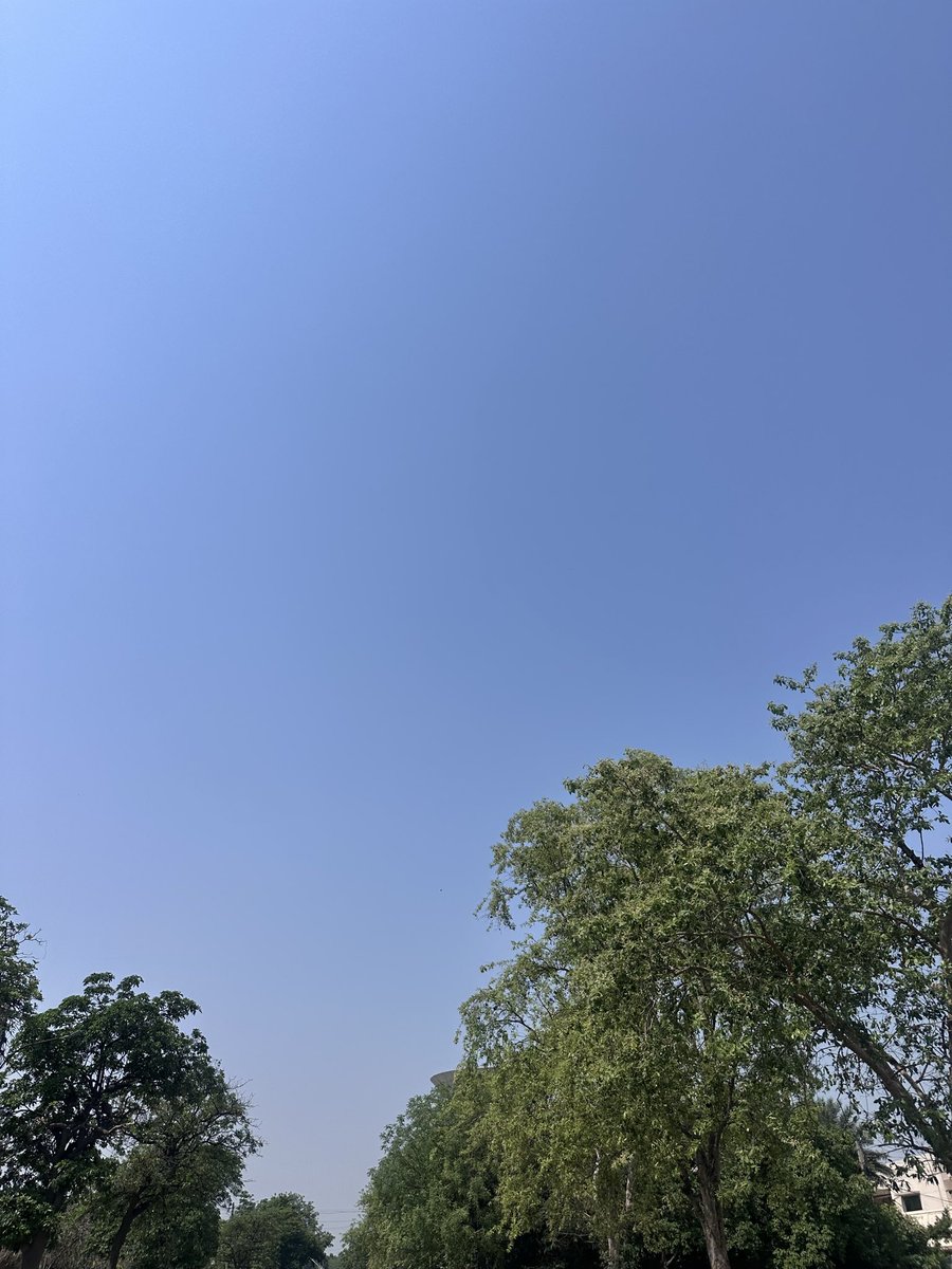 بلال۔ tweet media