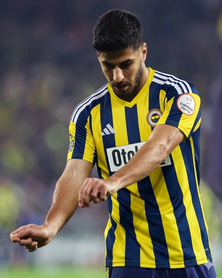 Fenerbahçe SK France 🇫🇷 tweet media
