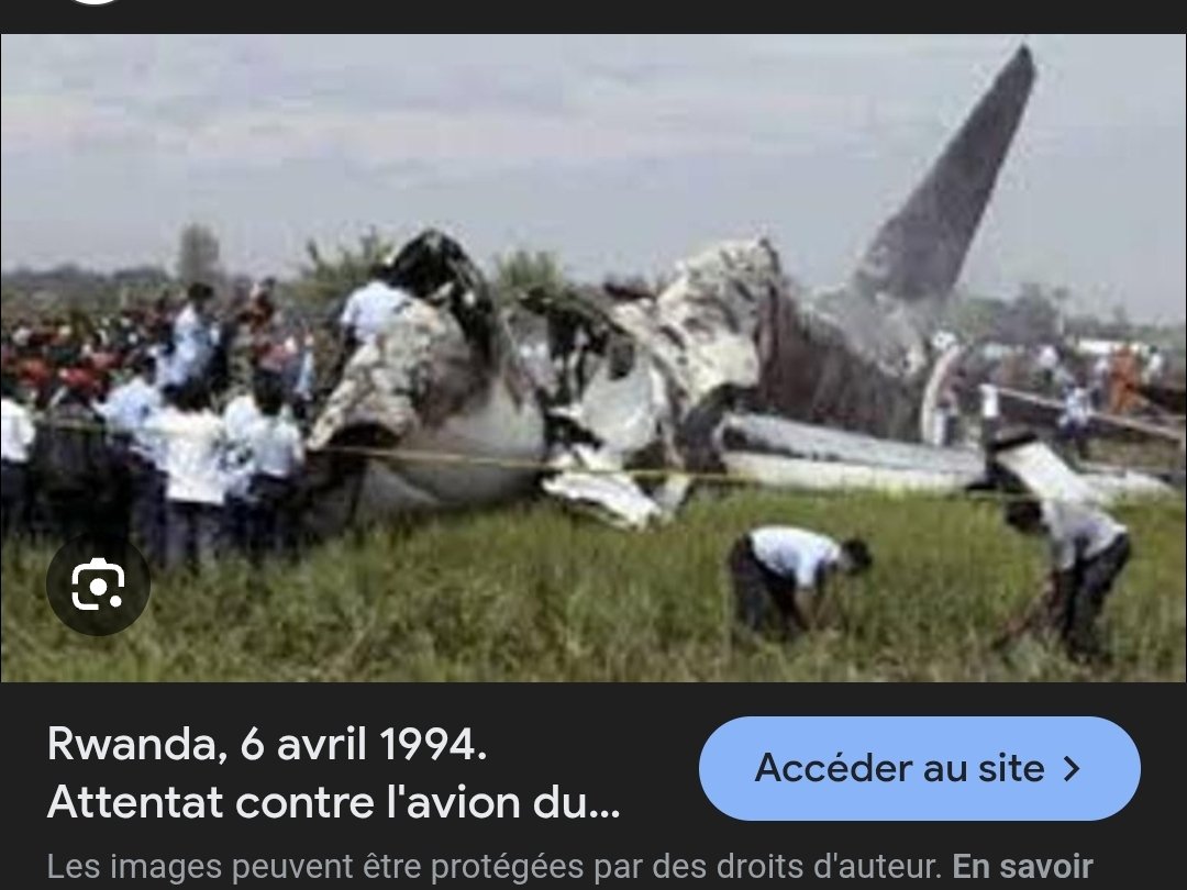 + tweet media