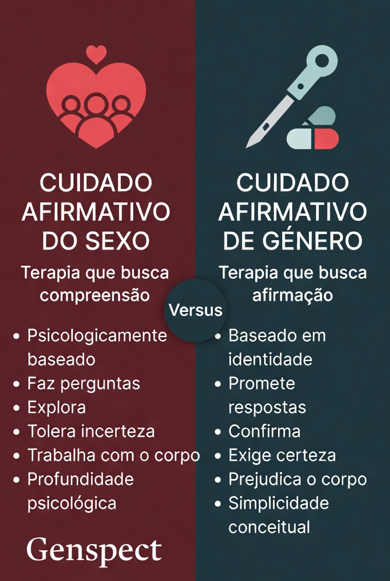 Maria Helena Costa tweet media