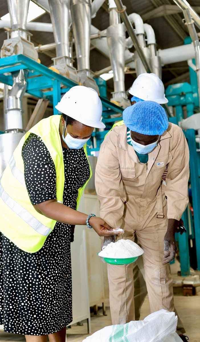BelindahTyler's tweet photo. Eng. Raymond Kamugisha confirms President Yoweri Museveni remains committed to injecting more resources until full grain value chain is achieved. We are grateful. #WhyUgDecidedM7 https://t.co/9hrqRd04aO