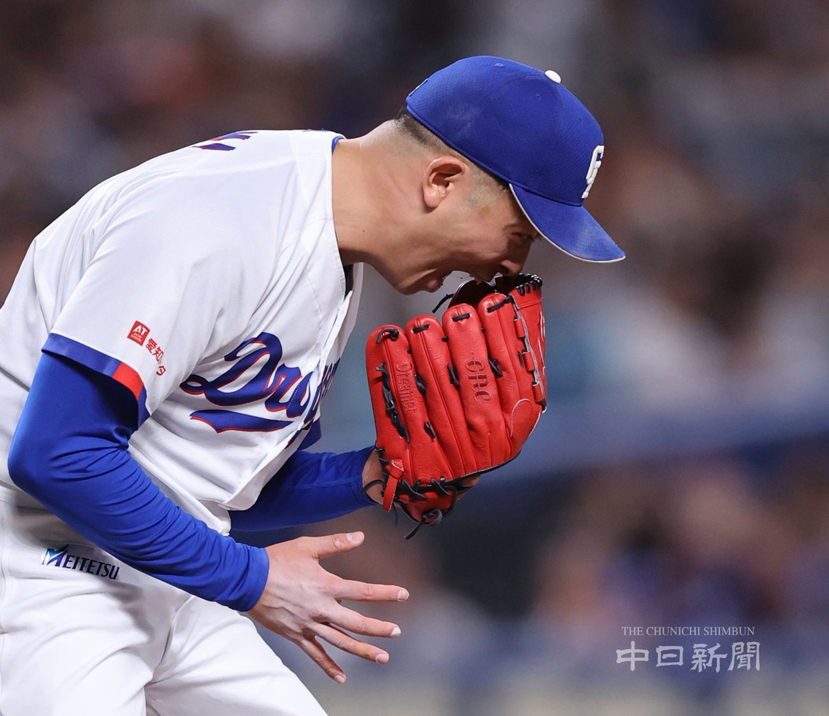 中日新聞写真部 tweet media