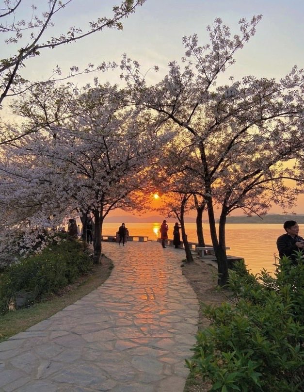 literally just going for a walk can solve the majority of your problems