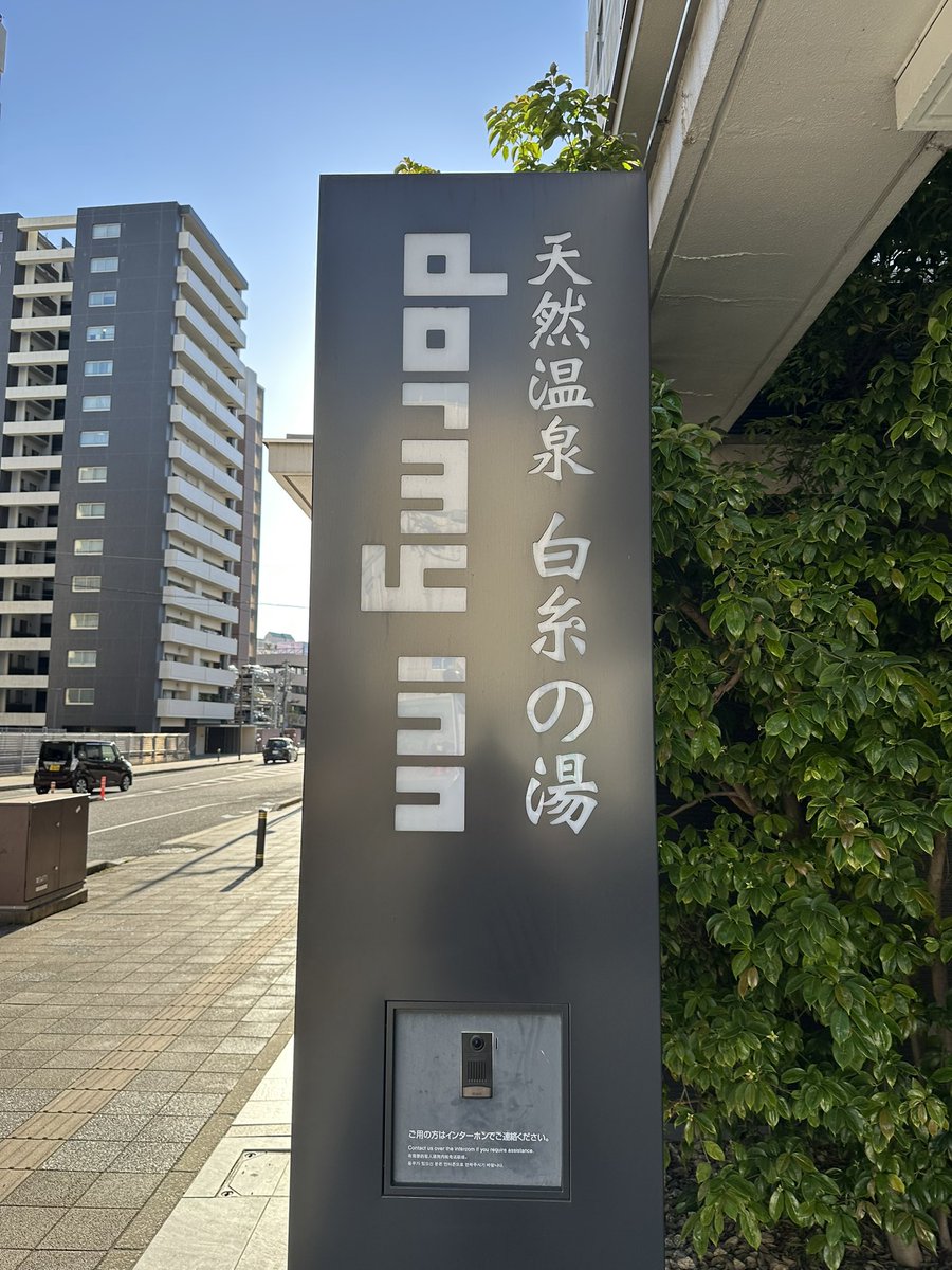 すてっぷ tweet media