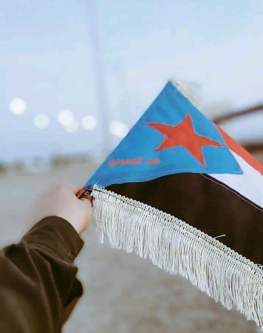 هدير الهاشمى tweet media
