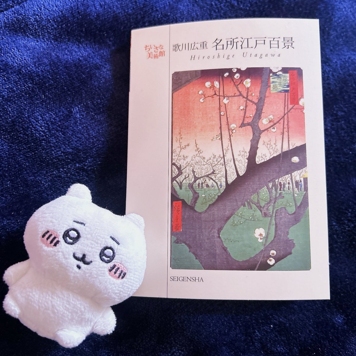 WMinkrich's tweet photo. 太田記念美術館へ歌川広重の展覧会を見に行って来ました！描かれている場所の現在の風景を学芸員さんが撮った写真が並べて展示してありました。当時と現在との違いを感じながら作品を観るのは新しい感覚で、とても楽しめました😊✨後期もぜひ観に行きたいと思います
ポストカードブックも購入👍✨ https://t.co/mTeVTgosPl