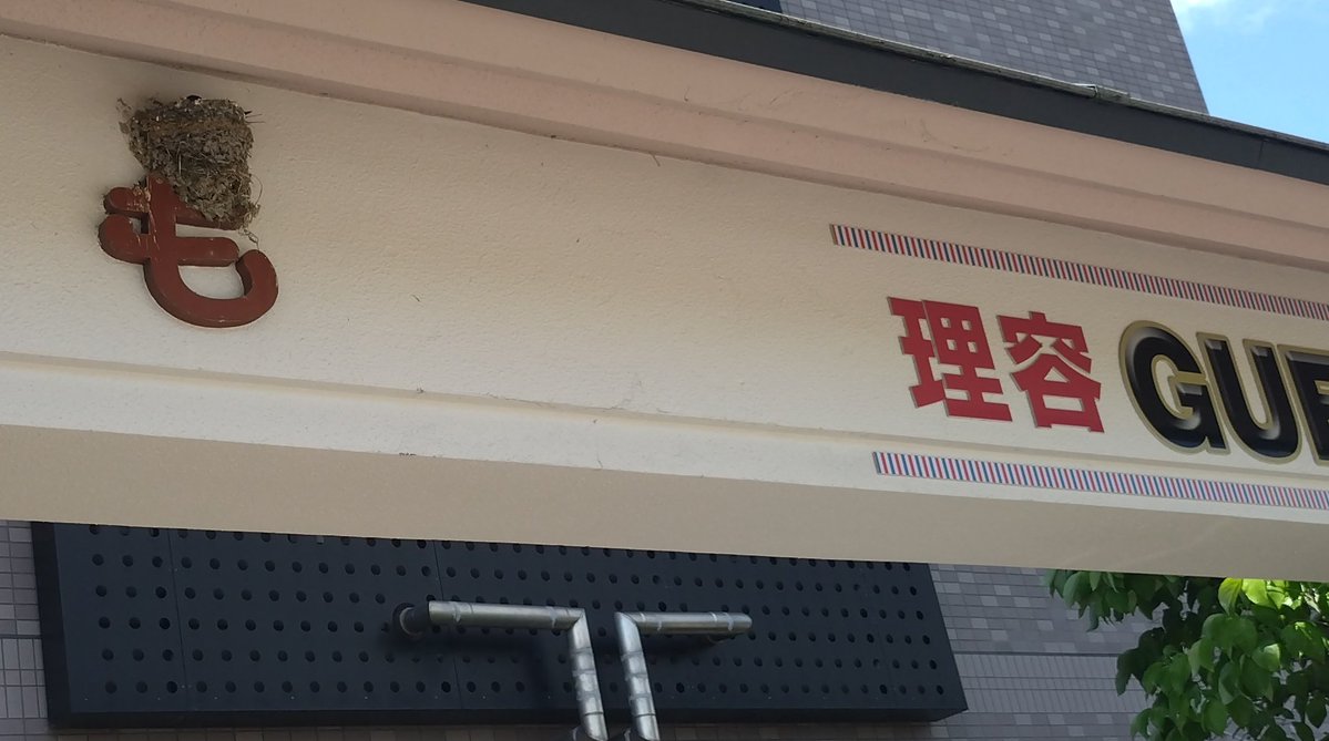 もる tweet media