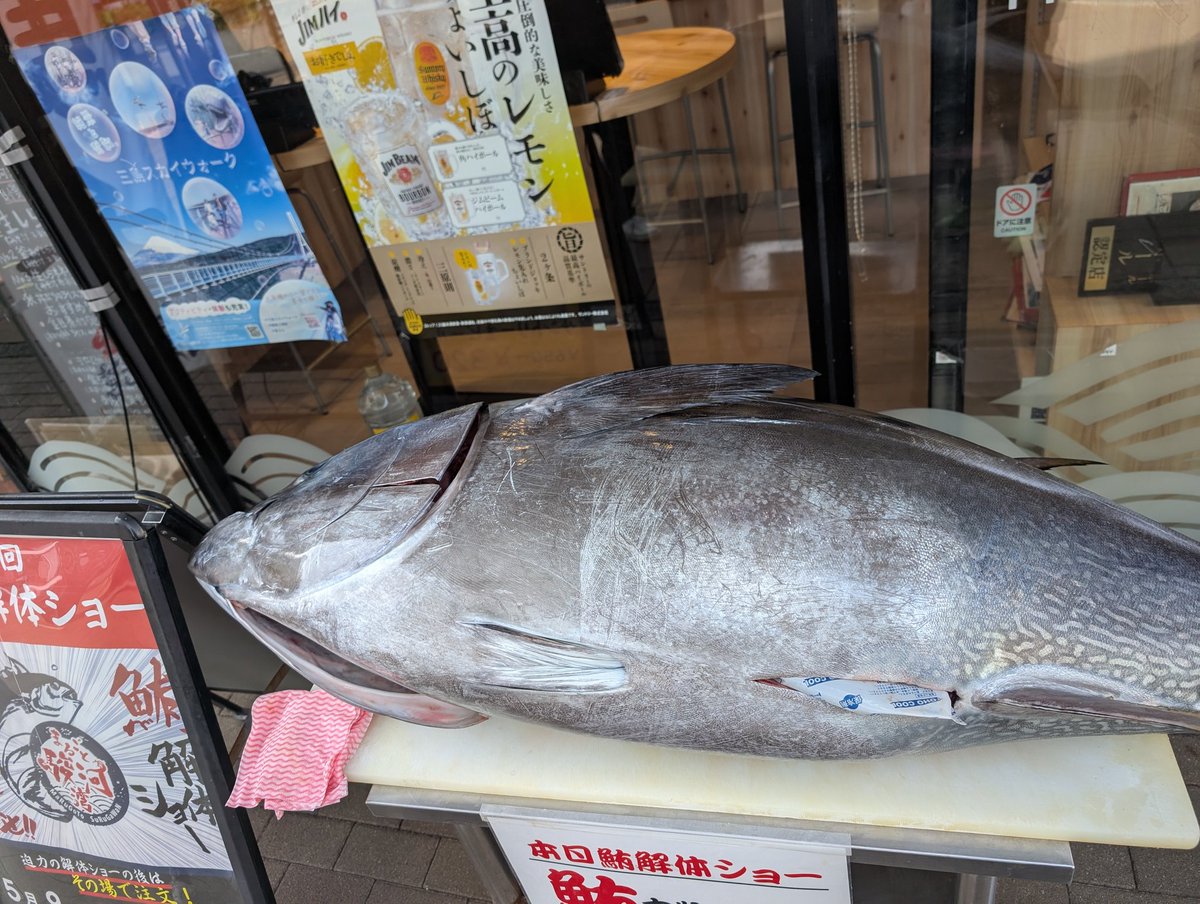 マグロの解体ショー