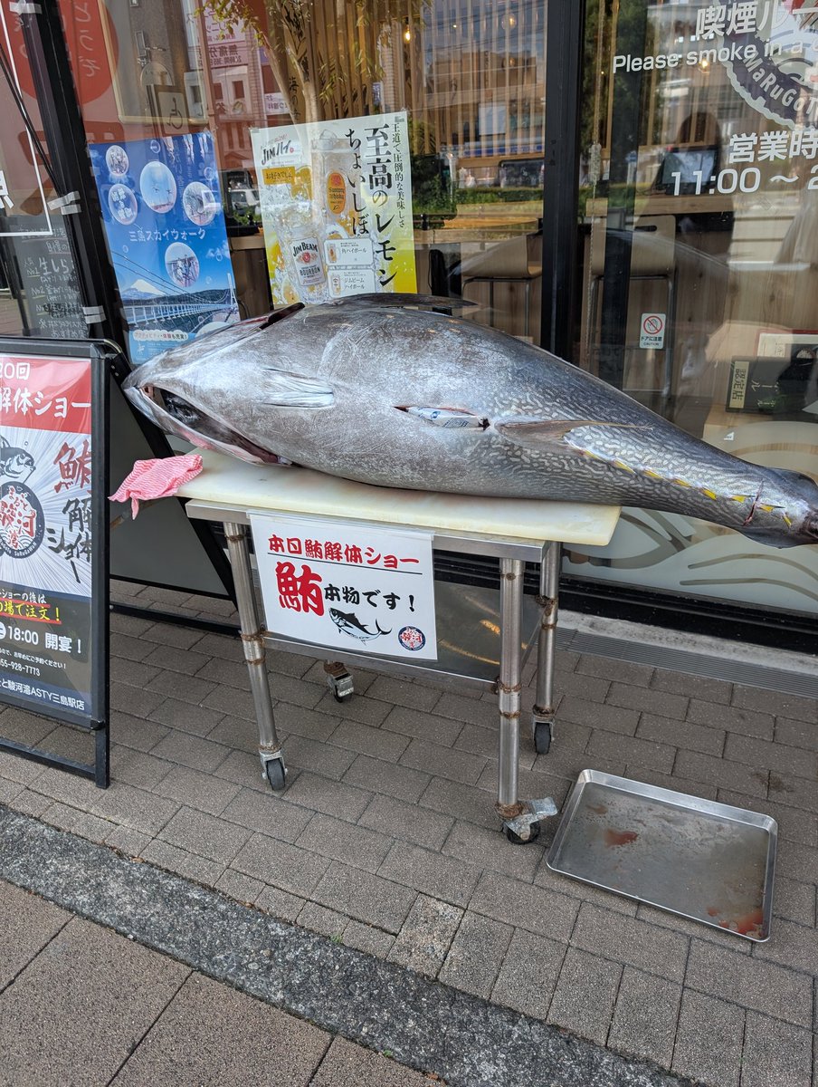 マグロの解体ショー