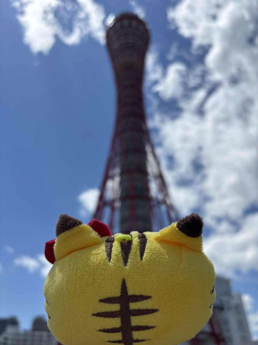 原田☀️ tweet media