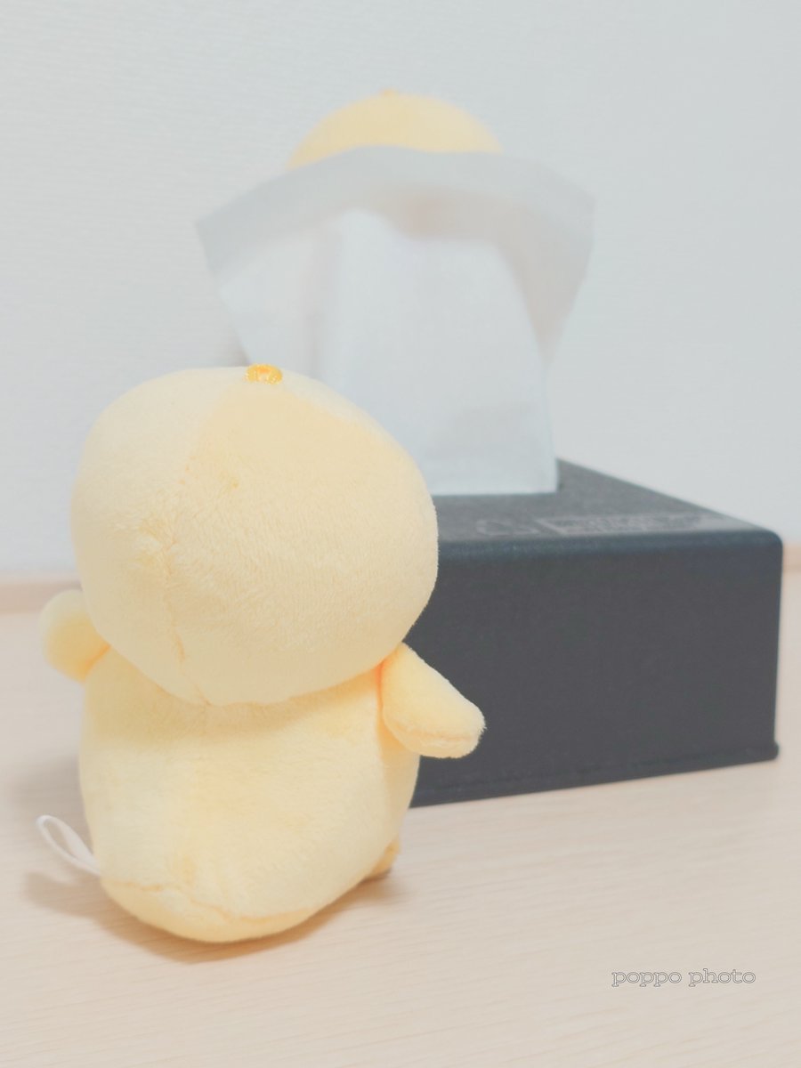 piyoco_diary's tweet photo. 🐥🐥
ぴよぴよぴよ♪
みんな おはよ。
ぴよ、起きたよ。
こそこそ。
なにしてるの?
お着がえするの。
お着がえ?
まだナイショなの。ぴよ。
#Kawaii #LittleStory https://t.co/61g8UqNzpX