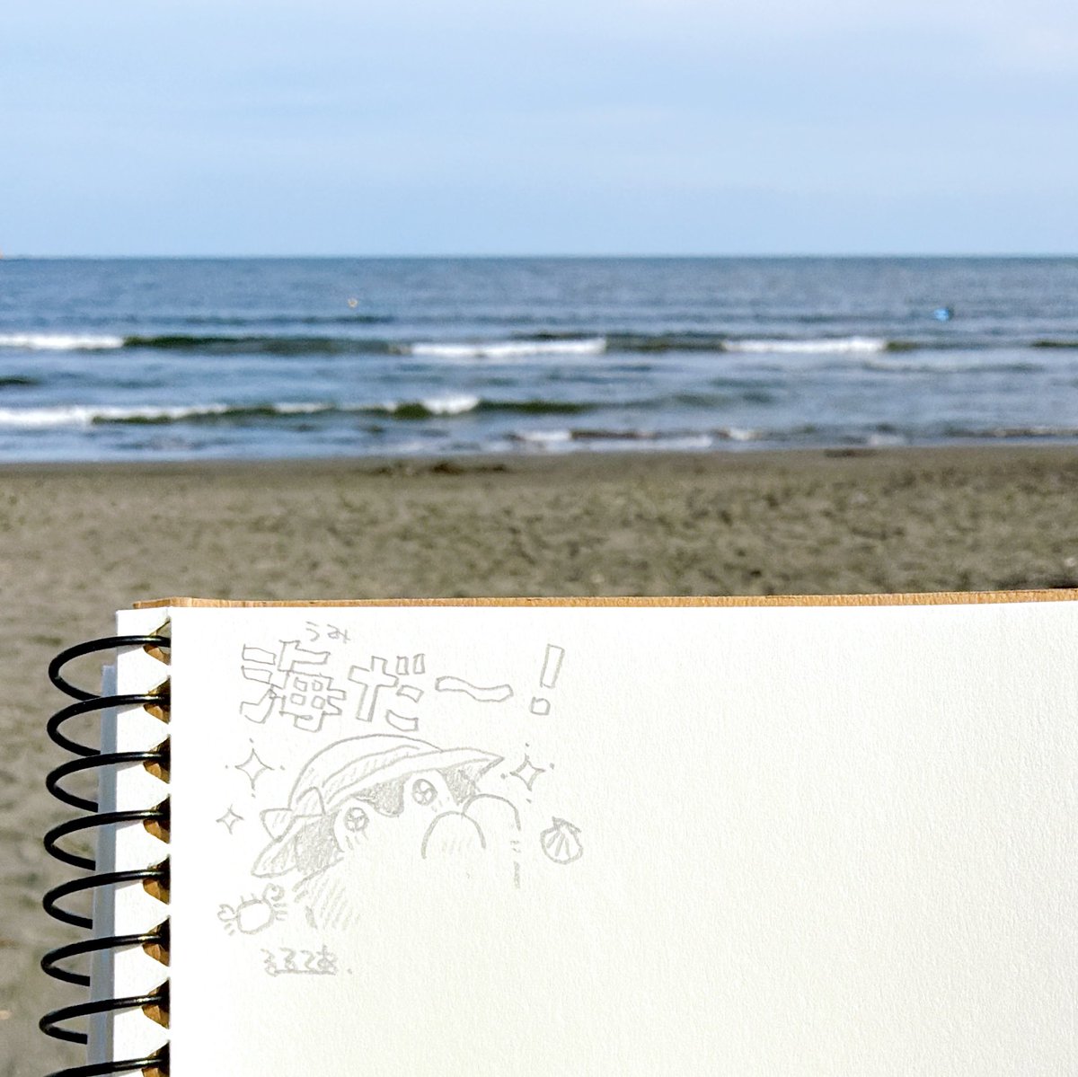 海に来たのかい、コウペンちゃん