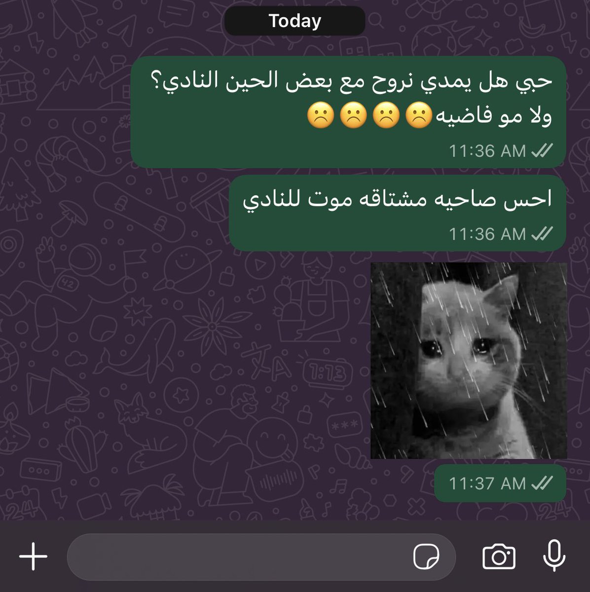 ج tweet media