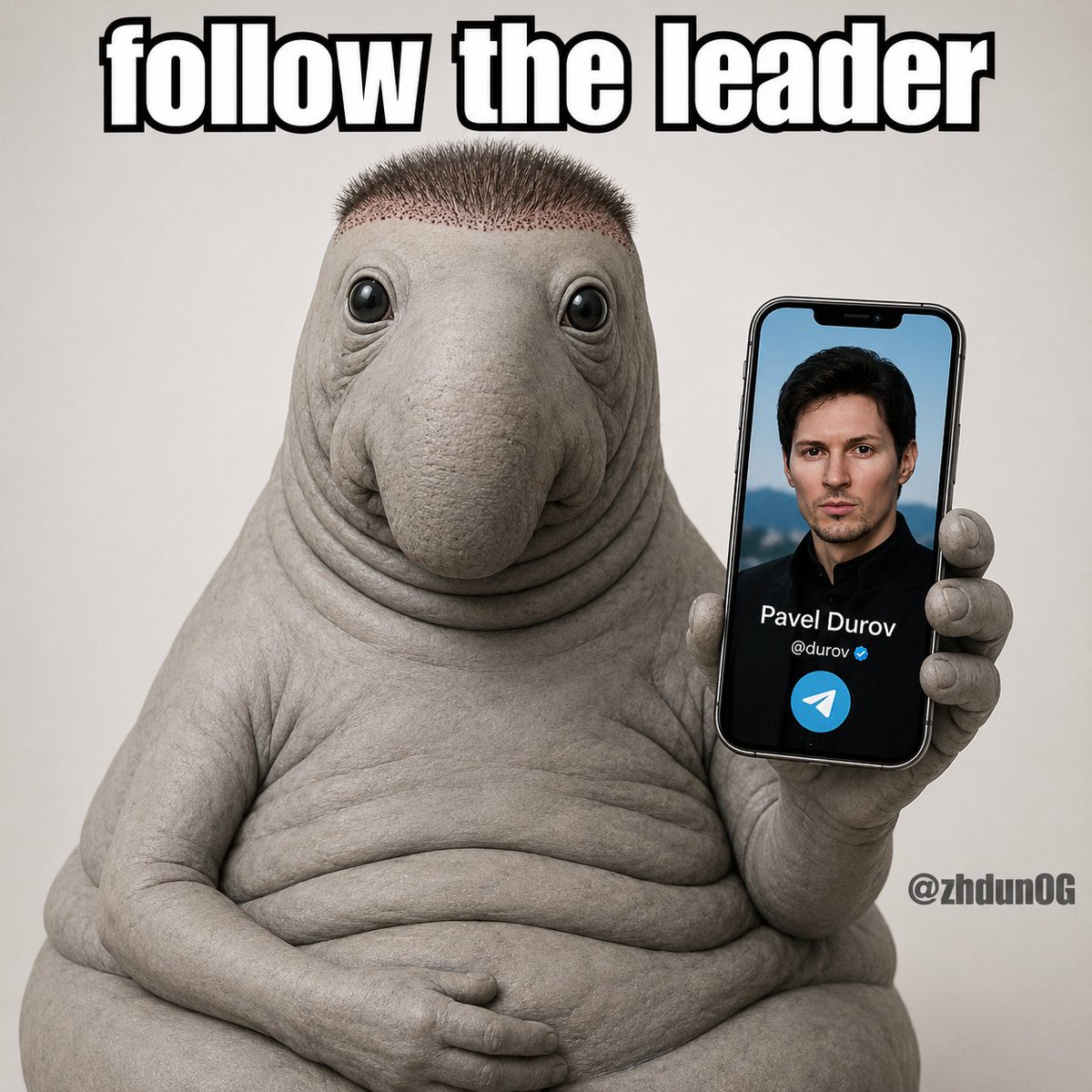 zhdunOG's tweet photo. follow the leader

be like Pasha

CA: EQB2b8udG_yi34EYszjTiES0sLZSRfCWm4y39v4mDwDx3pPf https://t.co/Il88g3NaSW