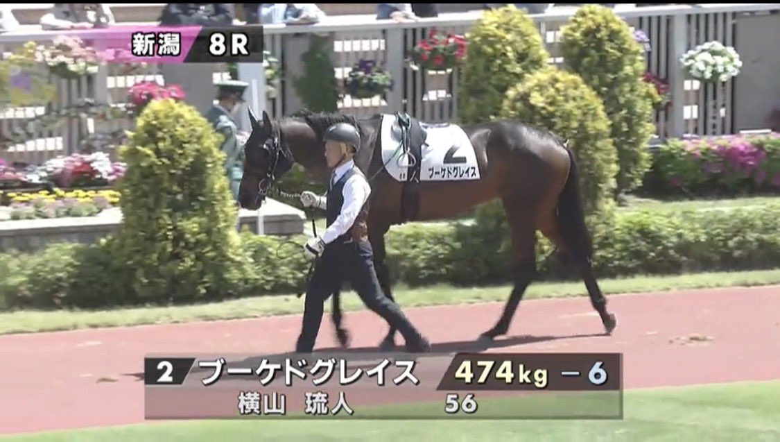 お馬さん_racing (@iPhone6SPlusCom) / Posts / X