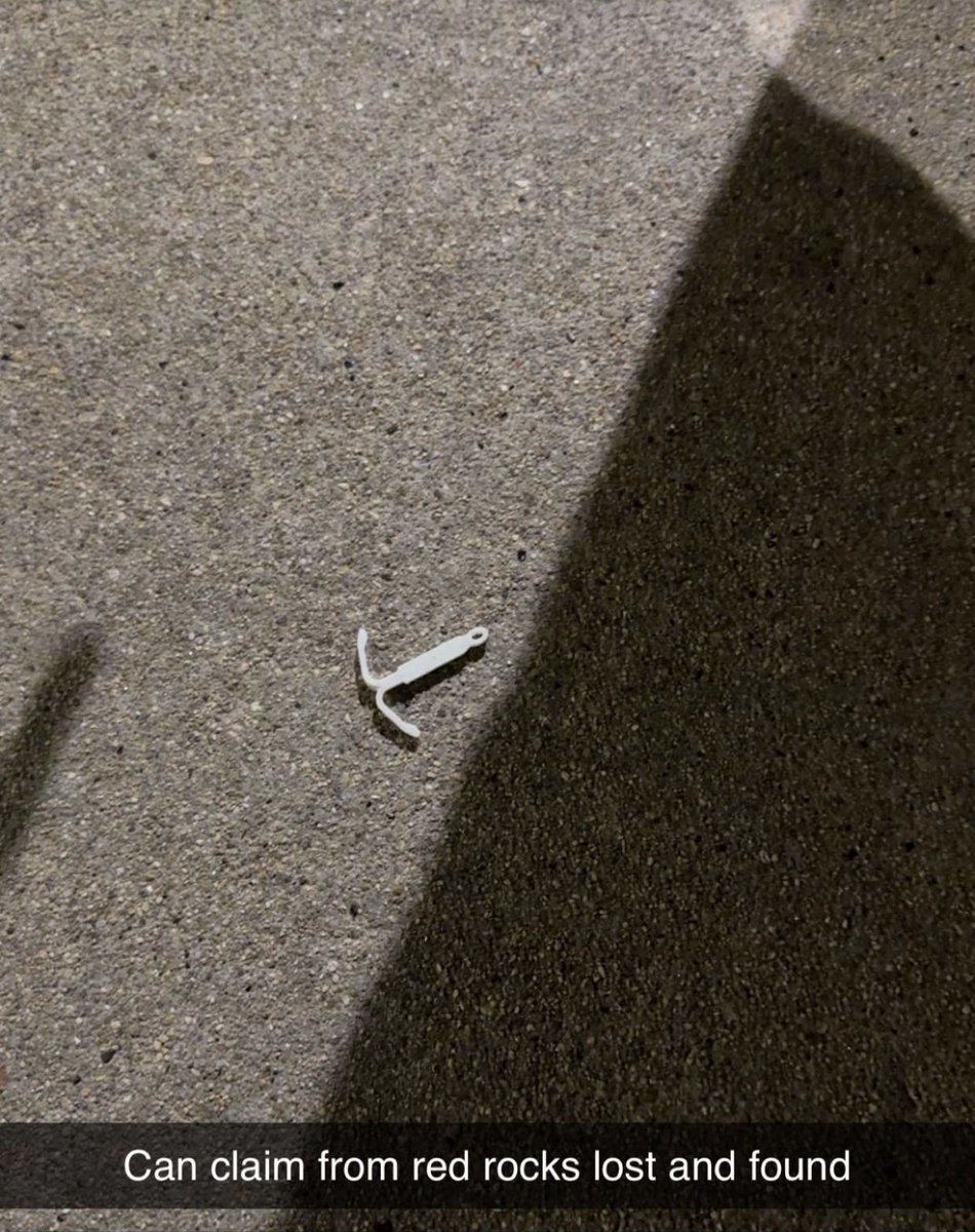 xoxoneb's tweet photo. When @ItsALLEYCVT goes so hard someone loses their contraception. They said take me to the alley for that cat immediately https://t.co/ZCkdayZXEs