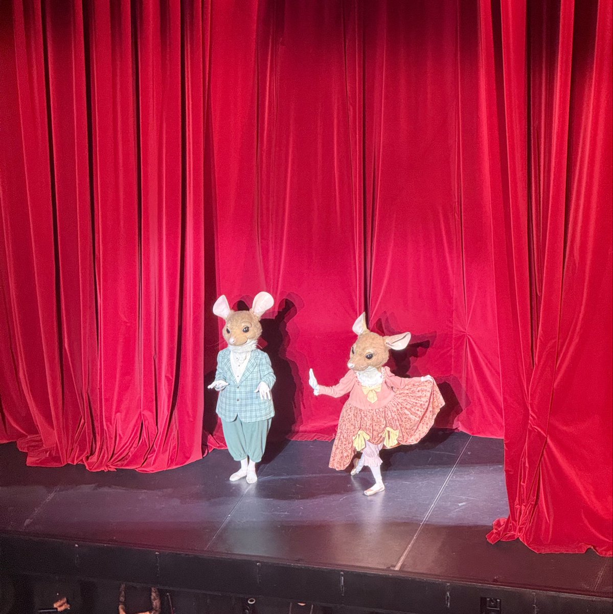 SDB_ballet's tweet photo. リラックスパフォーマンス「シンデレラ」初日の公演が終演しました！

明日は11時と15時の2回公演💎
当日券は各回開演の1時間前より販売します。 https://t.co/Gefmj0HiPk