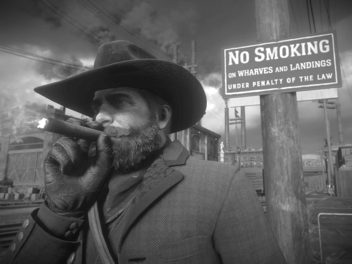 _BattleTits_'s tweet photo. Trying my hand at some artsy VP. 🤔📷
#RDR2 #MorganMay #VPTree #VirtualPhotography https://t.co/sjKH4ibFJj