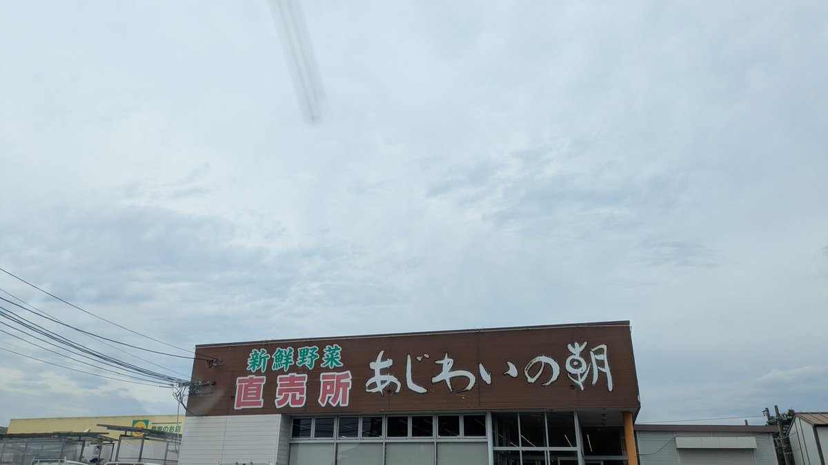 ブルー tweet media