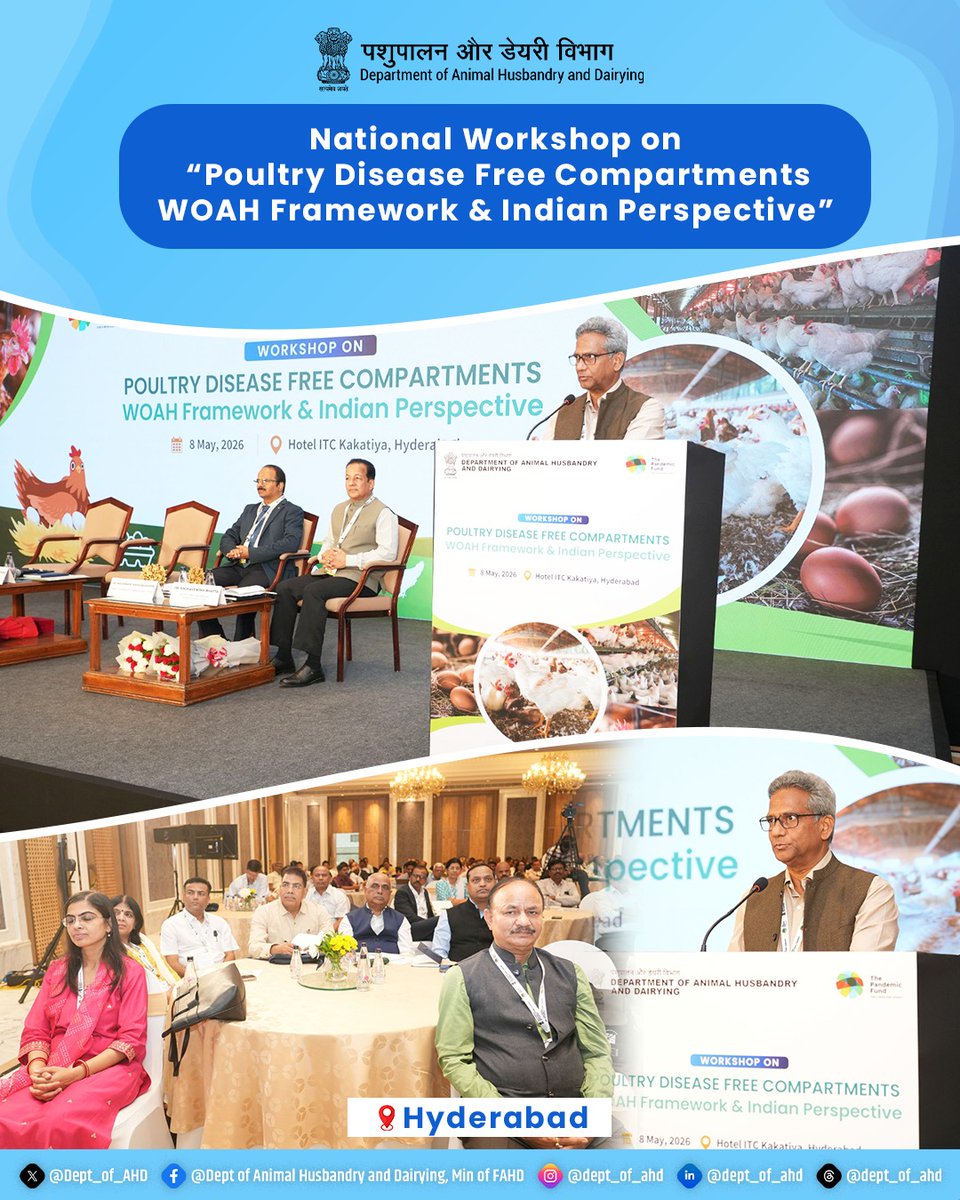 Dept_of_AHD's tweet photo. Shri Naresh Pal Gangwar, Secretary, DAHD, addressed the National Workshop on Poultry Disease Free Compartments and highlighted the importance of HPAI-free compartments in maintaining global biosecurity standards and enhancing exports of poultry and poultry products from India through a strong Public-Private Partnership approach.

India now has 51 HPAI-free poultry compartments following the recognition of 7 new compartments in Karnataka, Telangana, and Tamil Nadu.

#PoultrySector #HPAI #Exports #AnimalHealth
