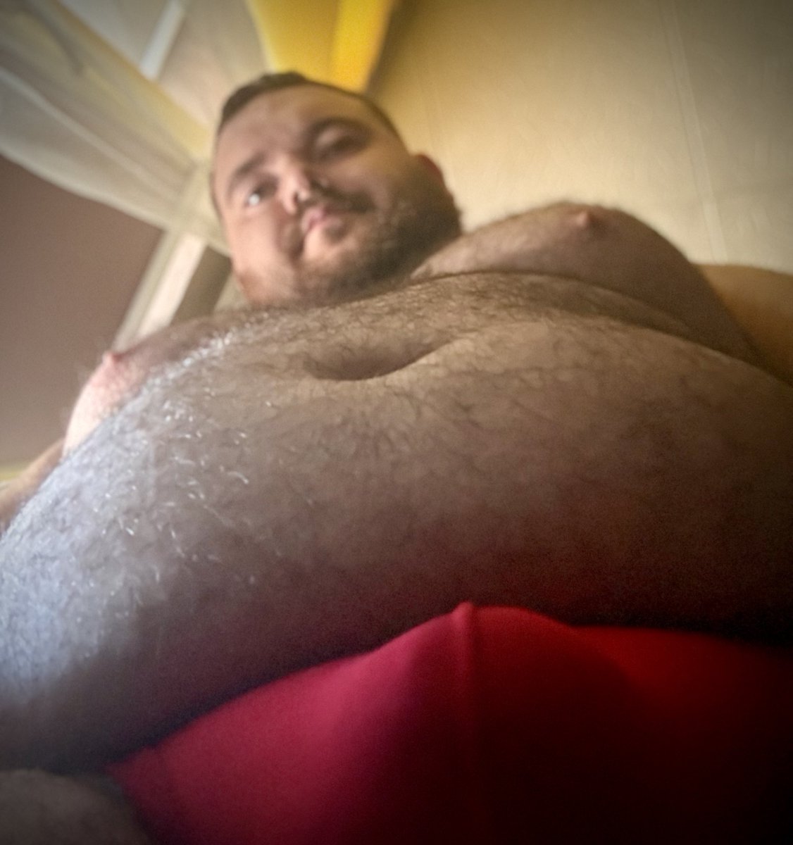 pashuuuliti 2.0 🐻 tweet media