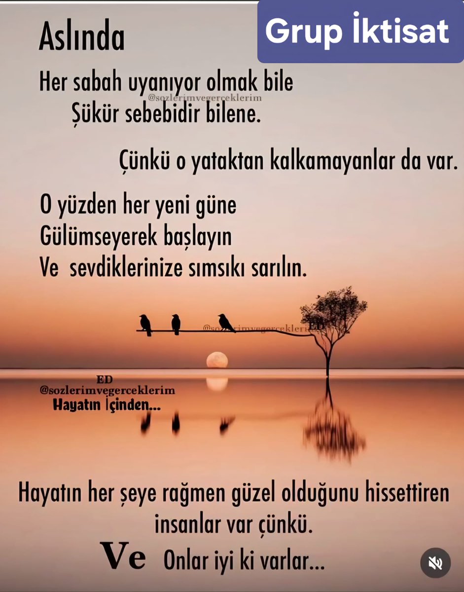 Berguzar01 tweet media
